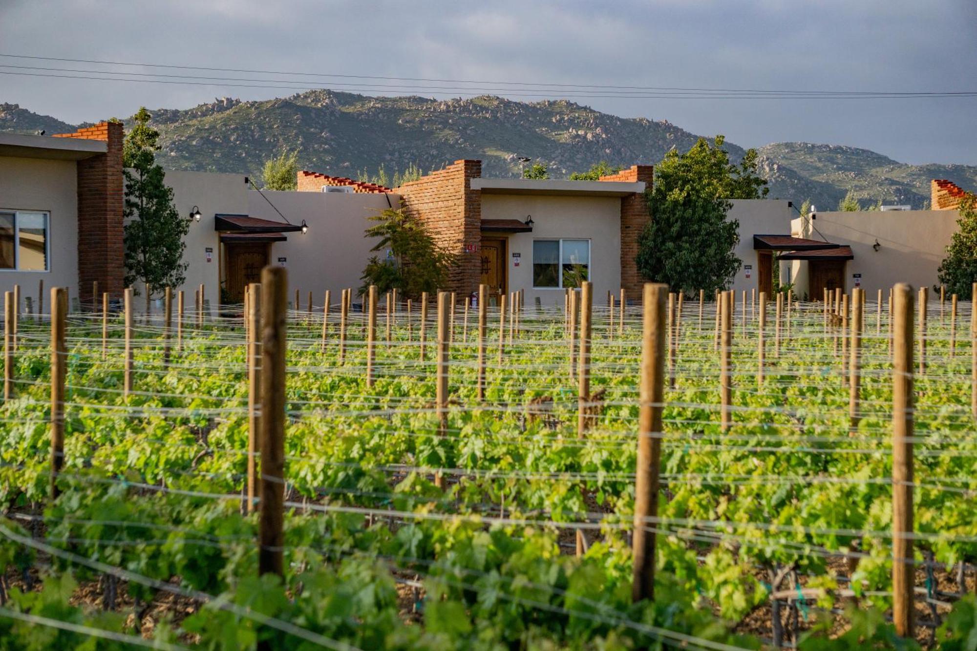 Ojo Azul Resort Valle de Guadalupe Exteriér fotografie