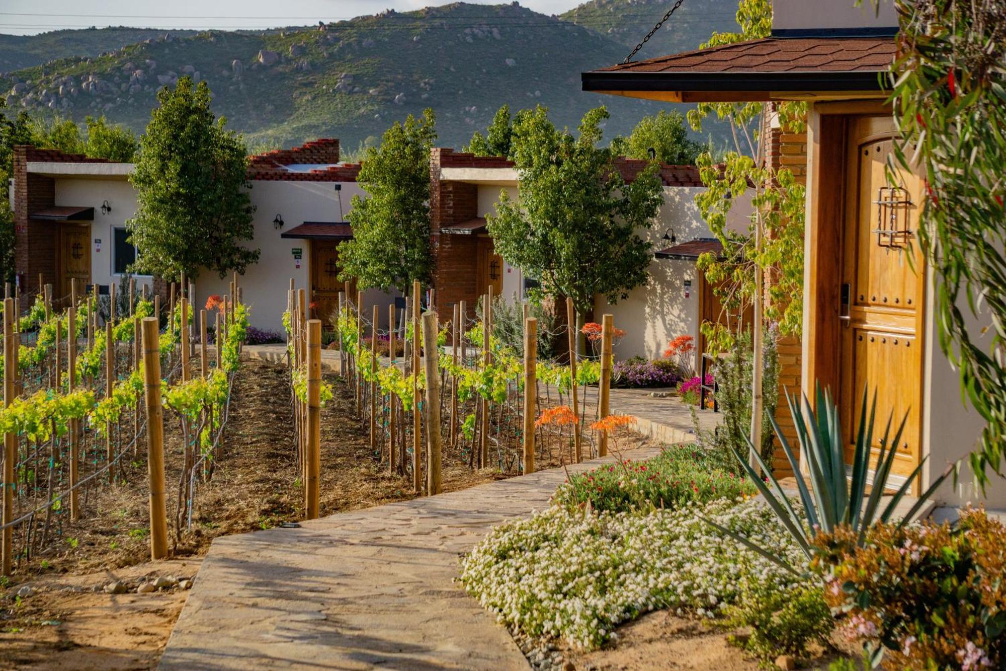 Ojo Azul Resort Valle de Guadalupe Exteriér fotografie