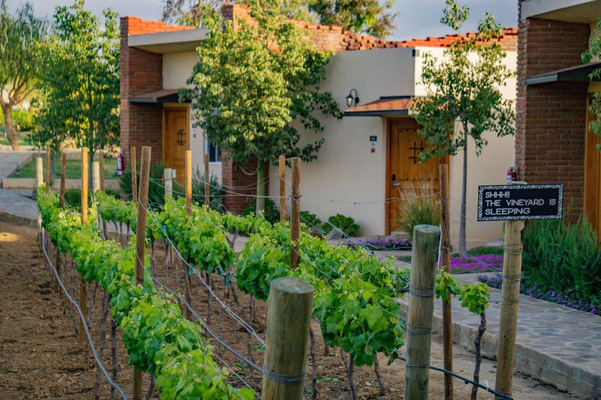 Ojo Azul Resort Valle de Guadalupe Exteriér fotografie